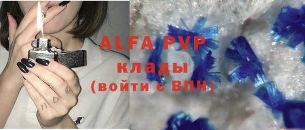 эйфоретик Гусев