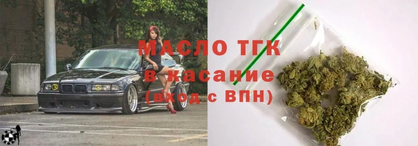 эйфоретик Гусев